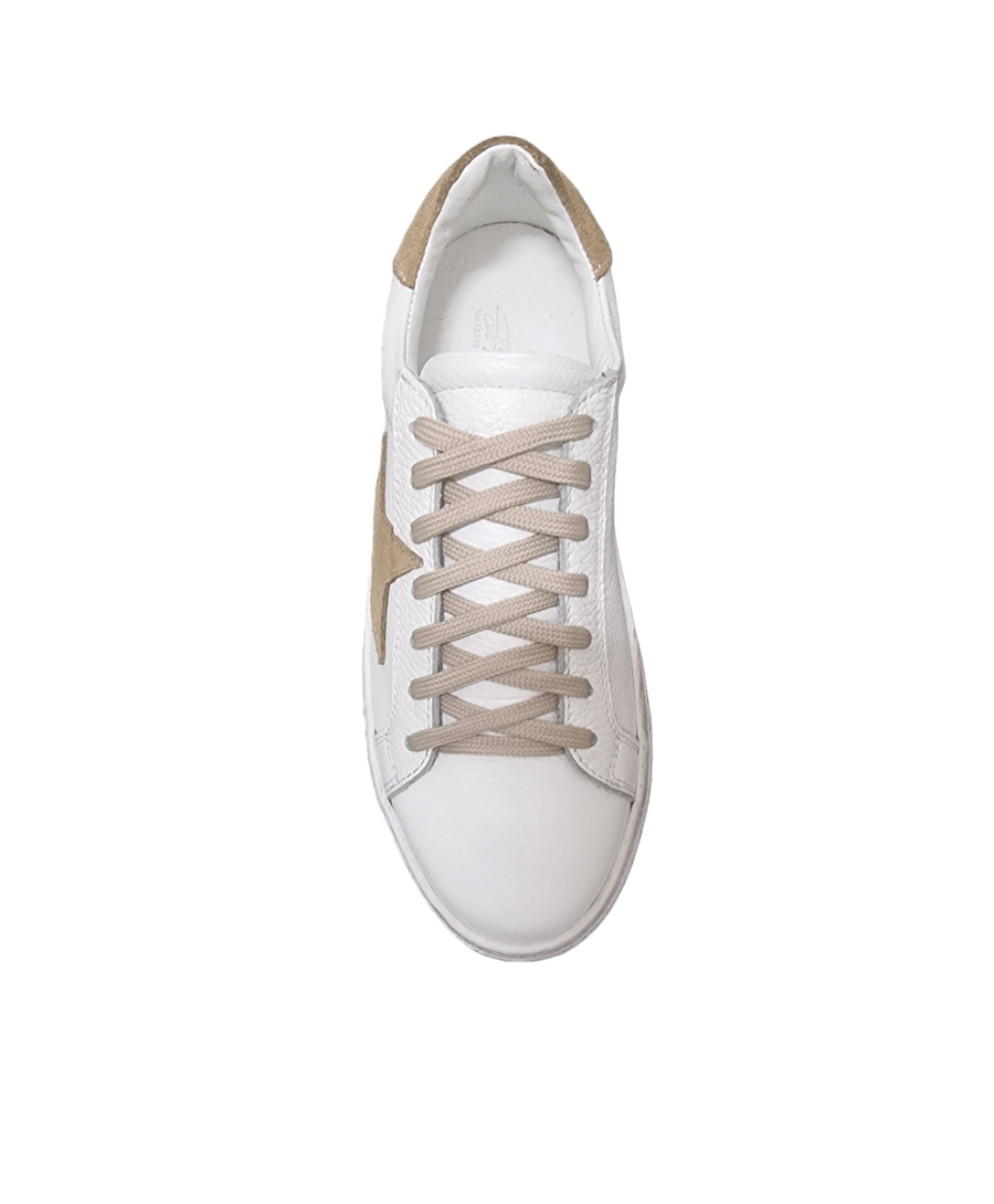 Roma beige