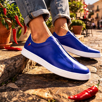 ELASTIKA NEAPOLITAN 26 COBALTO