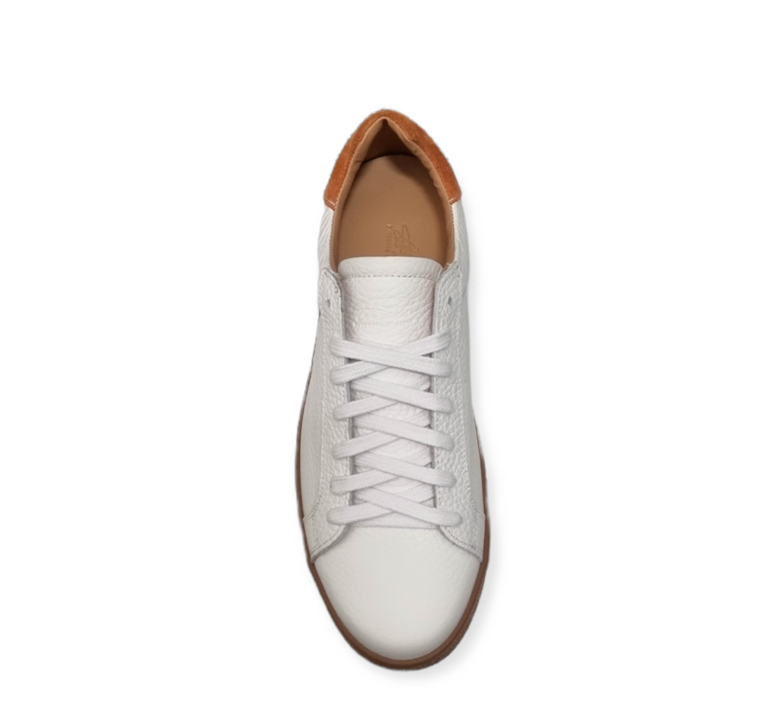 CORBELLA MART.BNC ARANCIO