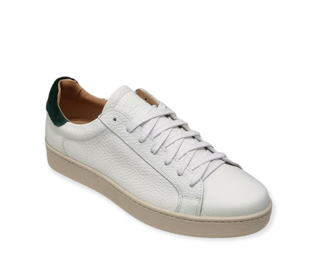 CORBELLA MART.BNC VERT